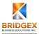 BridgeX Business Solutions